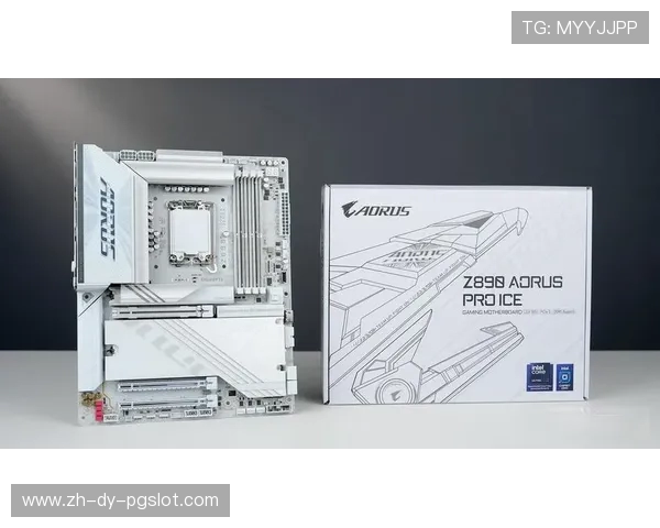 AMD打造高效生产力与极致游戏体验兼得的强劲平台 AMD打造高效生产力与极致游戏体验兼得的强劲平台